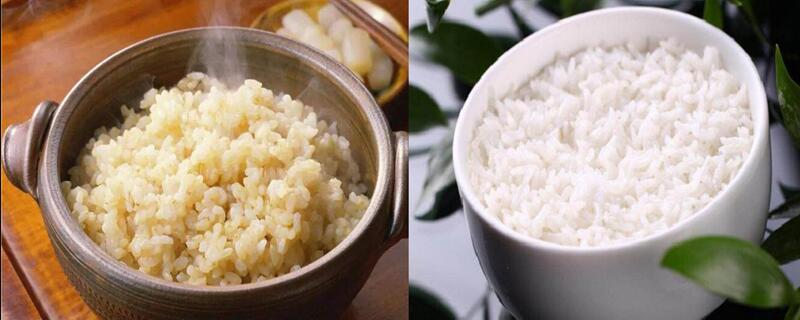 糙米飯和白米飯的區(qū)別