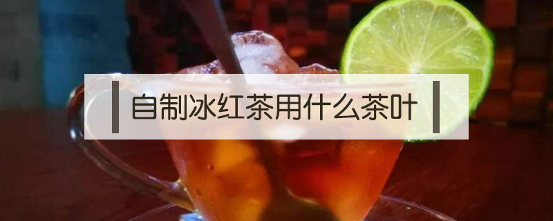 自制冰紅茶用什么茶葉
