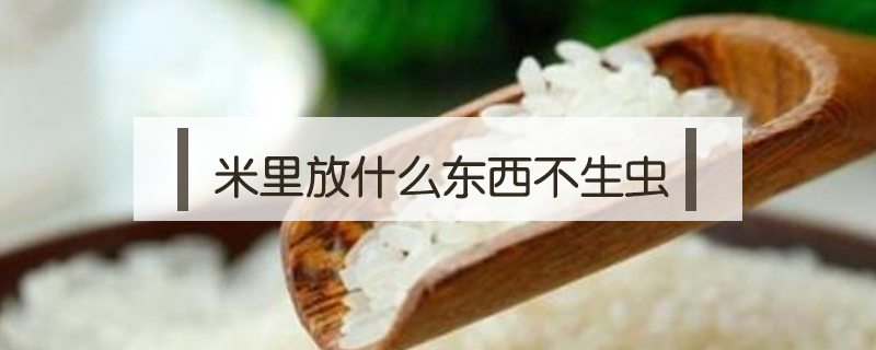 米里放什么東西不生蟲