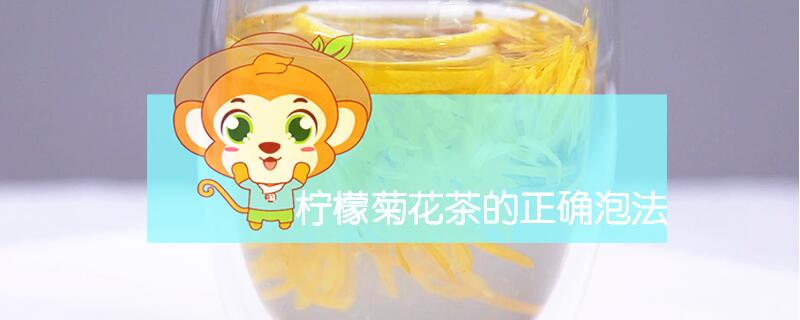 檸檬菊花茶的正確泡法