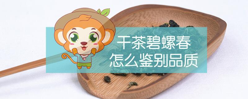 干茶碧螺春怎么鑒別品質(zhì)