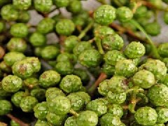 藤椒油做什么菜好吃，哪些菜適合鮮椒藤椒味
