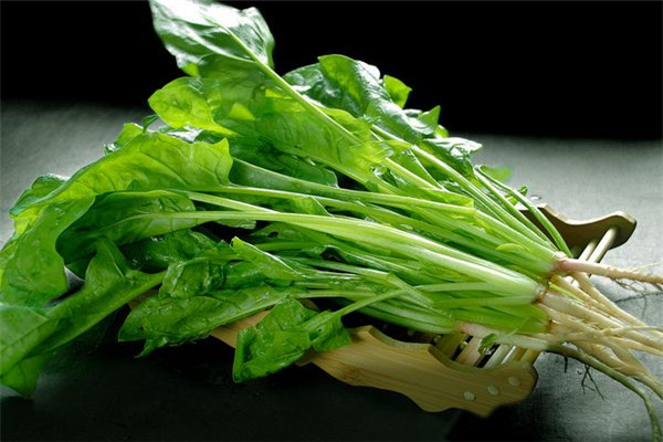 為什么不能經(jīng)常吃菠菜，什么時(shí)候不能吃菠菜