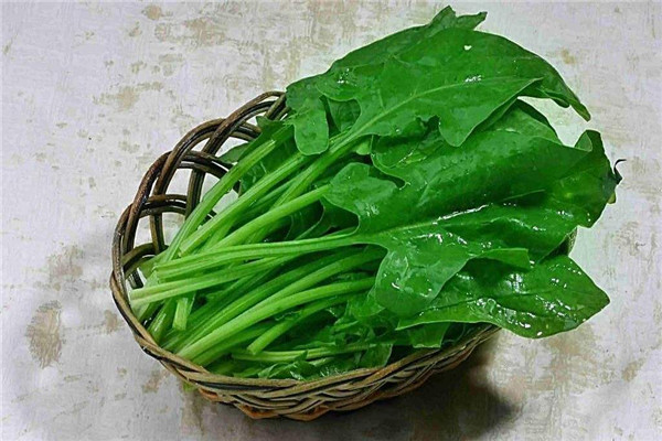 菠菜用開水燙一下能吃嗎，每天吃菠菜對(duì)身體好嗎