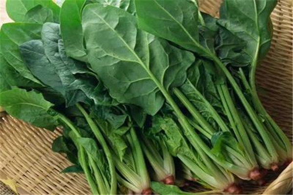 菠菜怎樣吃營養(yǎng)不流失，晚上吃菠菜影響睡眠嗎