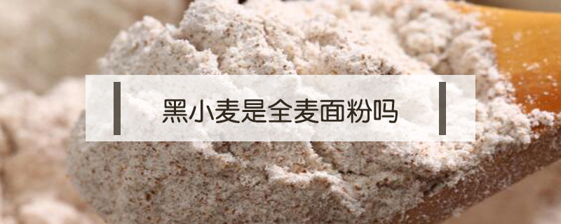 黑小麥?zhǔn)侨溍娣蹎? /></a>
						<div   id=