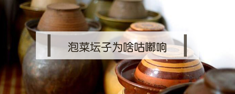 泡菜壇子為啥咕嘟響