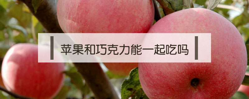蘋果和巧克力能一起吃嗎