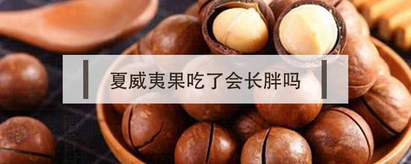夏威夷果吃了會長胖嗎
