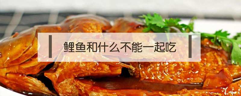鯉魚(yú)和什么不能一起吃