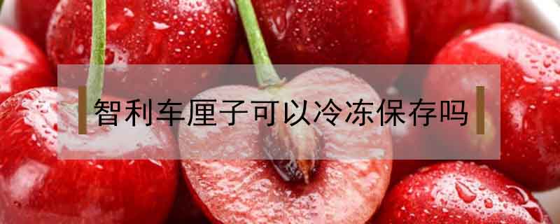 智利車?yán)遄涌梢岳鋬霰４鎲?></a>
						<a href=