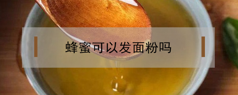 蜂蜜可以發面粉嗎
