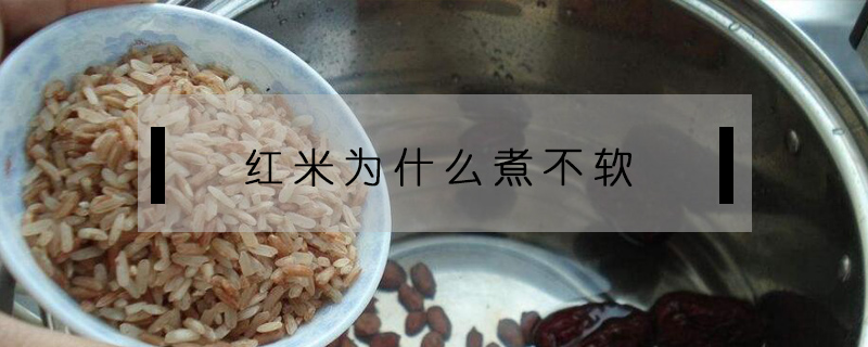 紅米為什么煮不軟