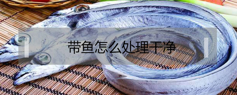 帶魚(yú)怎么處理干凈