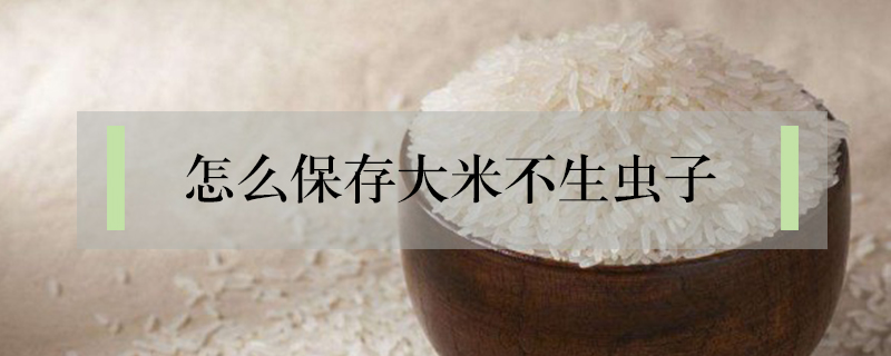 怎么保存大米不生蟲子