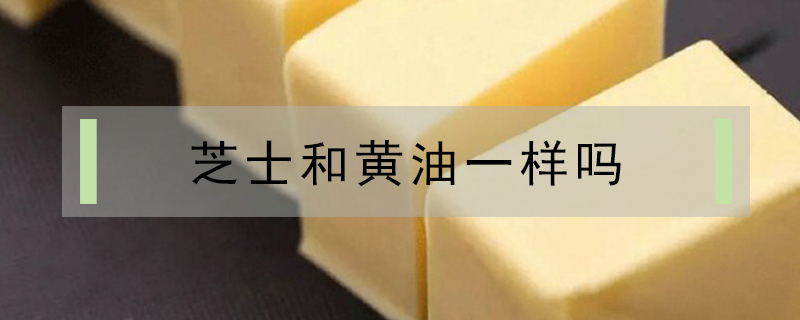 芝士和黃油一樣嗎