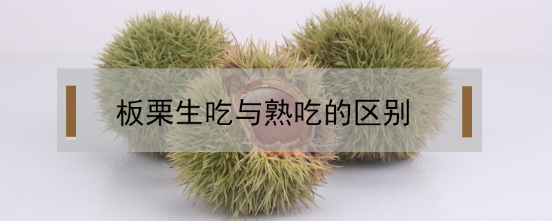 板栗生吃與熟吃的區(qū)別