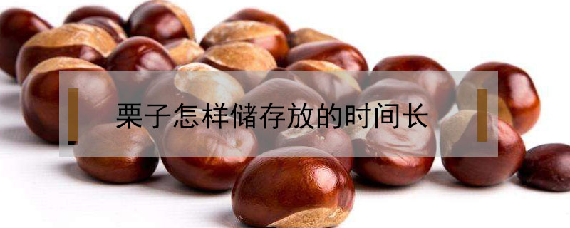 栗子怎樣儲(chǔ)存放的時(shí)間長