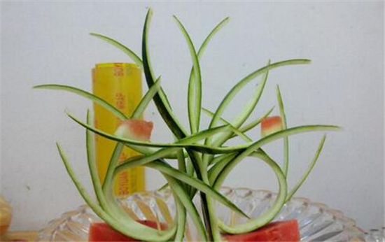 簡單易做的西瓜皮拉花 西瓜皮拉花走刀圖