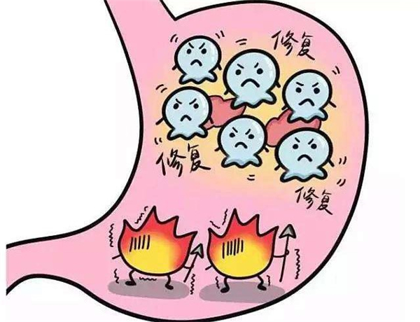 姑娘果的功效與禁忌 糖尿病能吃姑娘果嗎