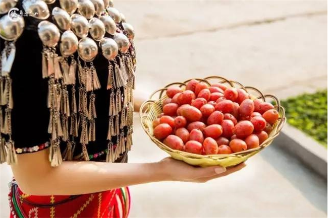 羊奶果的產(chǎn)地是哪里，羊奶果是西南地區(qū)特產(chǎn)