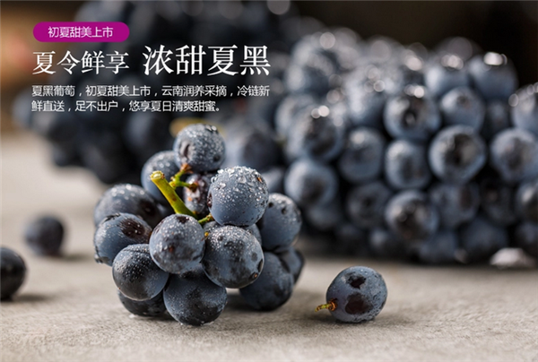 夏黑葡萄好不好 夏黑葡萄掉色正常嗎