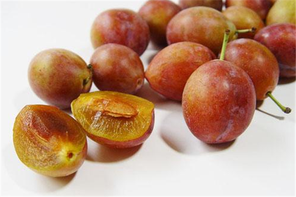 中國(guó)西梅產(chǎn)地是哪里 中國(guó)哪里最適合種植西梅