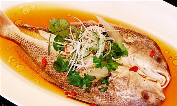 清蒸鱸魚最簡單的做法，四步學會清蒸鱸魚做法