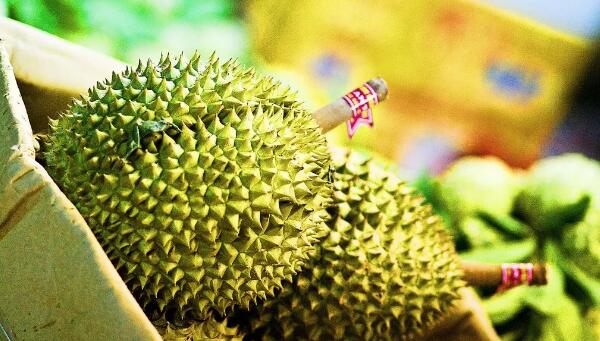 越南水果大全及價(jià)格，好吃又便宜的越南水果有哪些