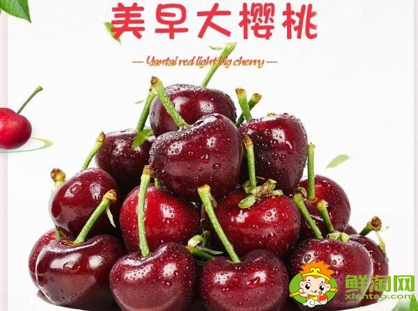 山東煙臺的櫻桃什么時候成熟，煙臺櫻桃成熟的季節初夏4月中旬