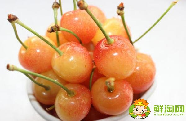 山東煙臺的櫻桃什么時候成熟，煙臺櫻桃成熟的季節初夏4月中旬