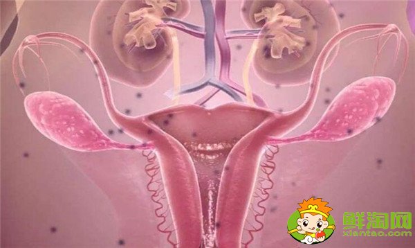 女人月經期能吃蘋果嗎，女性宮寒月來經期能吃蘋果嗎