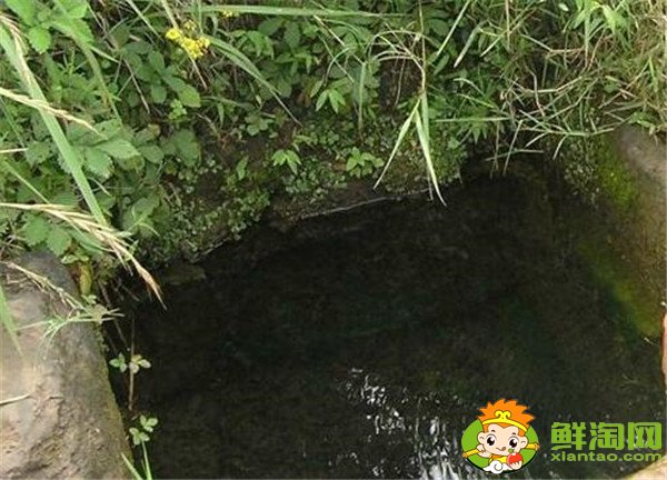荔枝怎么保存時(shí)間長(zhǎng)，荔枝怎么保存不會(huì)壞