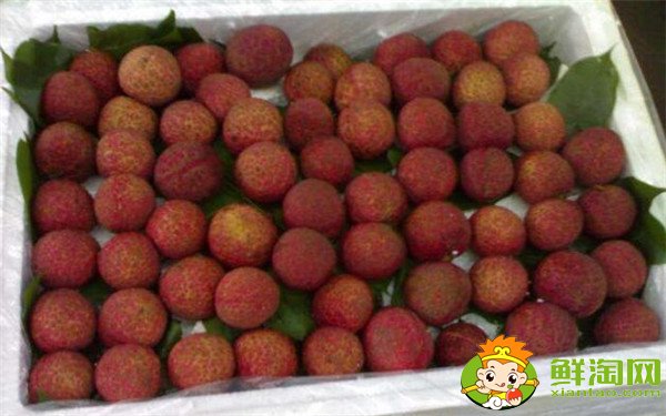 荔枝怎么保存時(shí)間長(zhǎng)，荔枝怎么保存不會(huì)壞