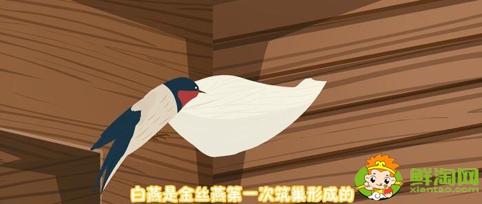 燕窩是怎么形成的