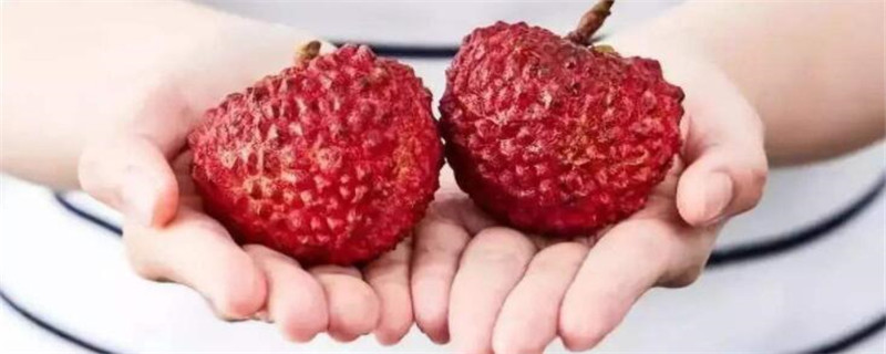 荔枝王什么時(shí)候上市