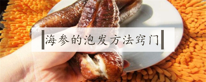 海參的泡發(fā)方法竅門