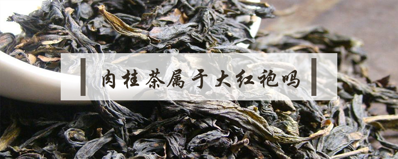 肉桂茶屬于大紅袍嗎
