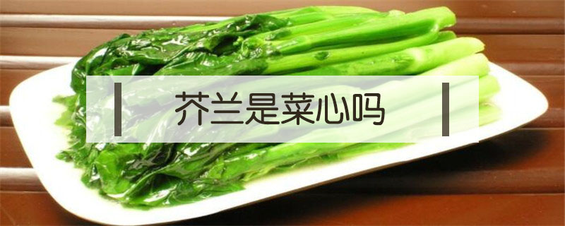 芥蘭是菜心嗎