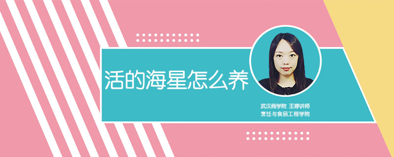 活的海星怎么養(yǎng)