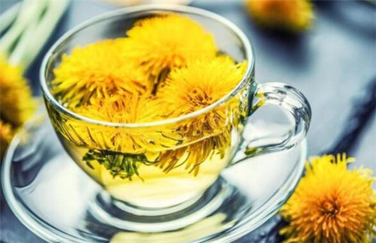 蒲公英茶可以減肥嗎，蒲公英茶和什么一起喝減肥