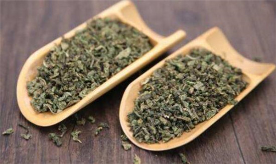 蒲公英茶可以減肥嗎，蒲公英茶和什么一起喝減肥