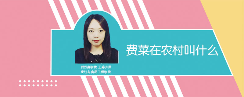 費菜在農(nóng)村叫什么