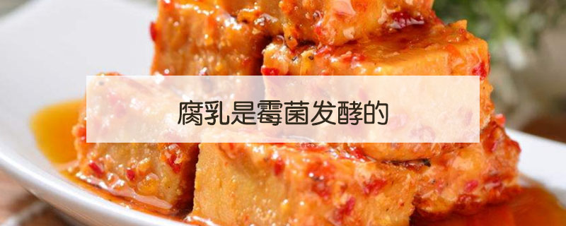 腐乳是什么菌發(fā)酵