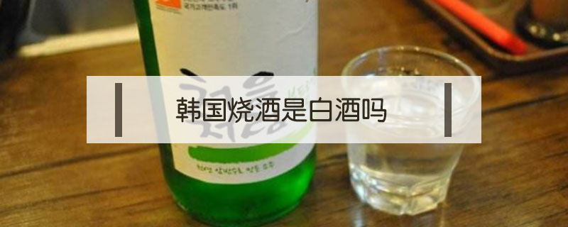 韓國燒酒是白酒嗎