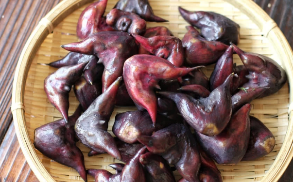菱角長在哪里，菱角什么時候成熟