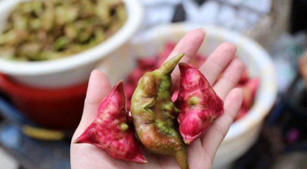 菱角長在哪里，菱角什么時候成熟