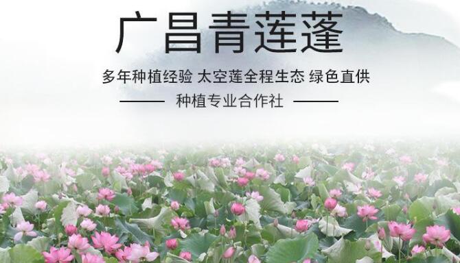 產蓮子的藕是什么品種，專產蓮子的品種有哪些