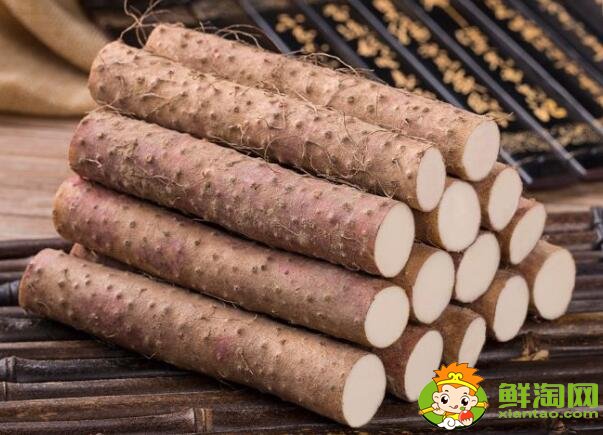 淮山和鐵棍山藥的區別，淮山藥好還是鐵棍山藥