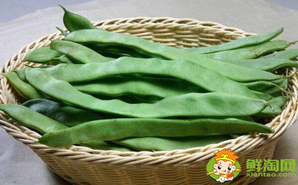 蕓豆跟蠶豆是一樣的嗎，蕓豆和蠶豆的區(qū)別